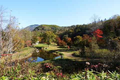 福原山荘の紅葉