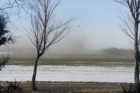 積雪0㎝のお正月!?