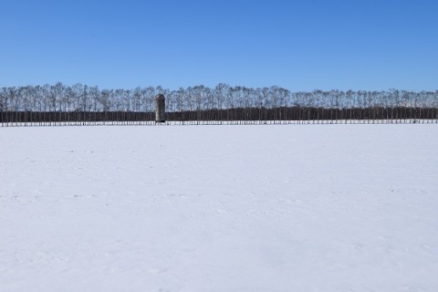 ドカ雪か～ッ!?