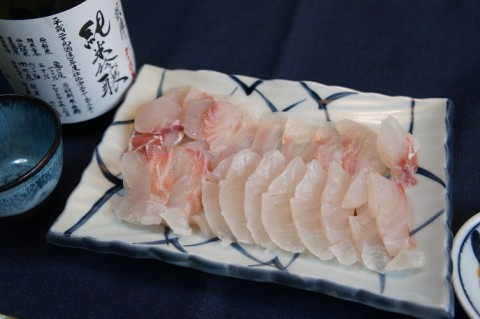 香川の地酒(凱陣)+愛媛産の鯛～♪