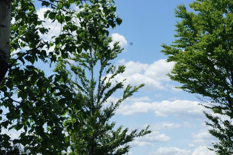6月の十勝の空