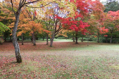 福原山荘の紅葉