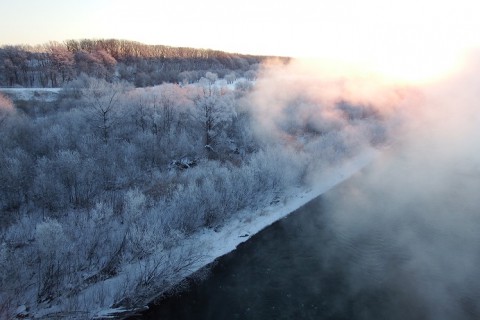十勝川の霧氷