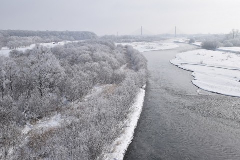 十勝川の霧氷