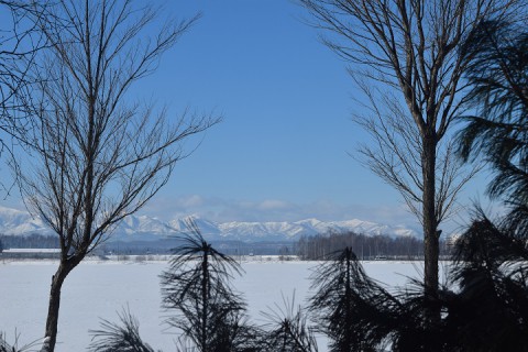 あんなに降らなかった雪が…