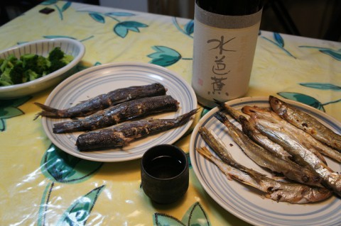 「おまけ」の焼き魚を水芭蕉の純米大吟醸で