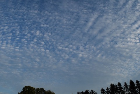 秋の雲