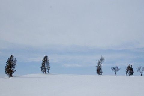 カメラスケッチ・音更町メロディライン