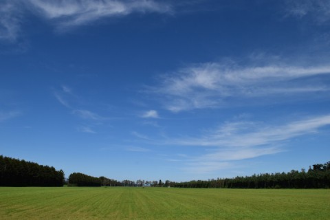 十勝らしい青空～♪
