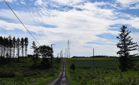 カメラスケッチ・音更町の畑