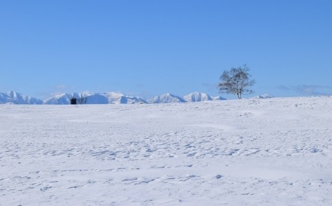 カメラスケッチ・音更町の雪景色