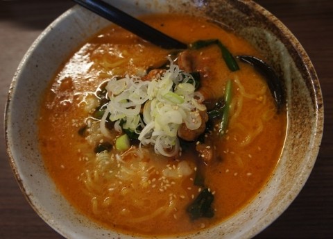 新店オープン! 麺屋 こたろうさんのホルモンラーメン
