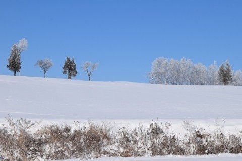 音更メロディーラインの雪景色