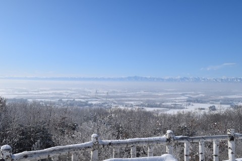 十勝が丘展望台～霧氷の大平原～♪