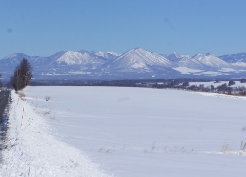 今冬の降・積雪は…