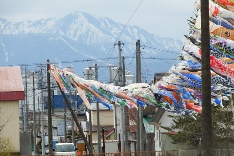 大樹町・歴船川清流鯉のぼり