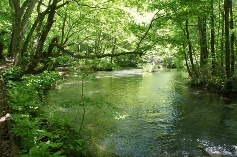 青森墓参の旅3日目　上北～奥入瀬～酸ヶ湯～青森市