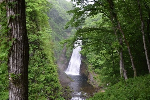 東北・北陸の旅(1)　仙台～秋保大滝～山形