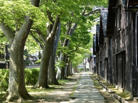 東北・北陸の旅(7)　3度目の酒田市