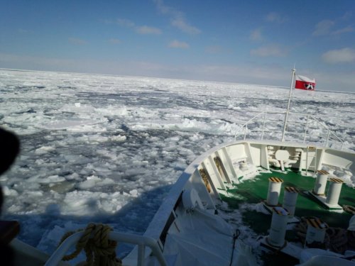 流氷を