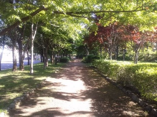 赤い彗星号の旅（２０１３．　６． ９)