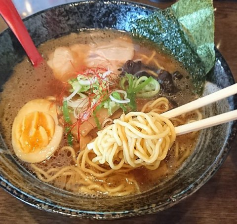 しょう油ラーメン/ラーメン　定休日は木曜日