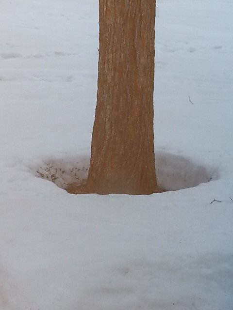 雪解け間じか