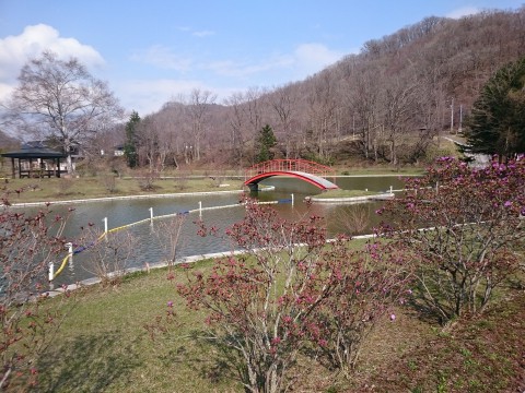 春のドライブ*本別公園*