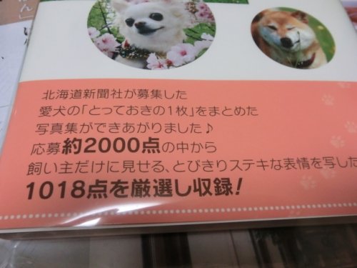 カワイイ!!道民わんこ~北国の元気ワンコ大集合~!帯の文言