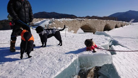 タウシュベツの今