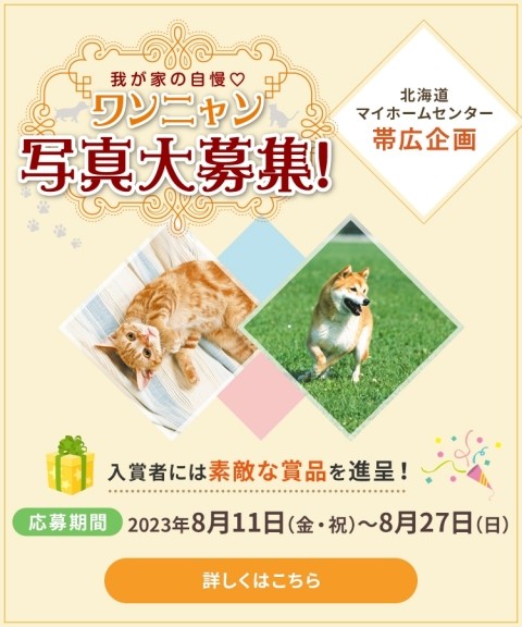 わんにゃん写真大募集始まりました~締め切り間近か
