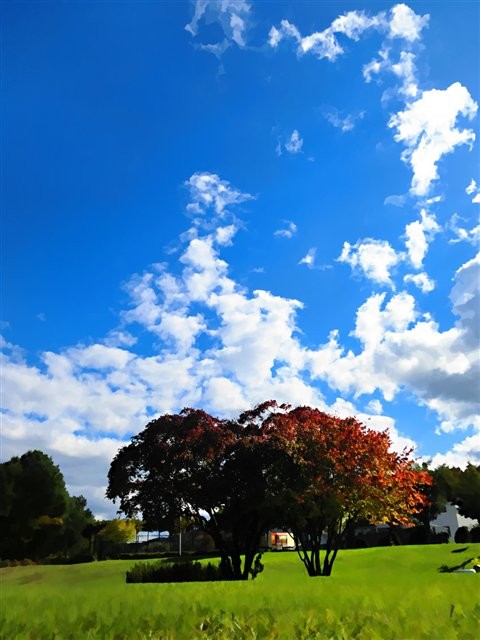 紅葉と青空