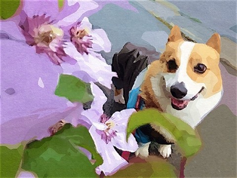 年賀状の準備