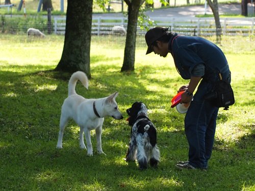 8月11日　まきばの家ドッグラン