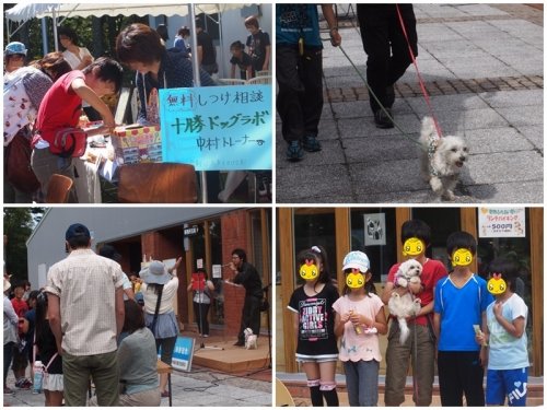 9月7日動物ふれあい祭り。