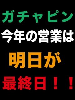 今年の営業は今日と明日で終了です!!