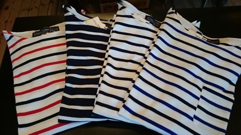 そろそろ気になり始めてきましたね!