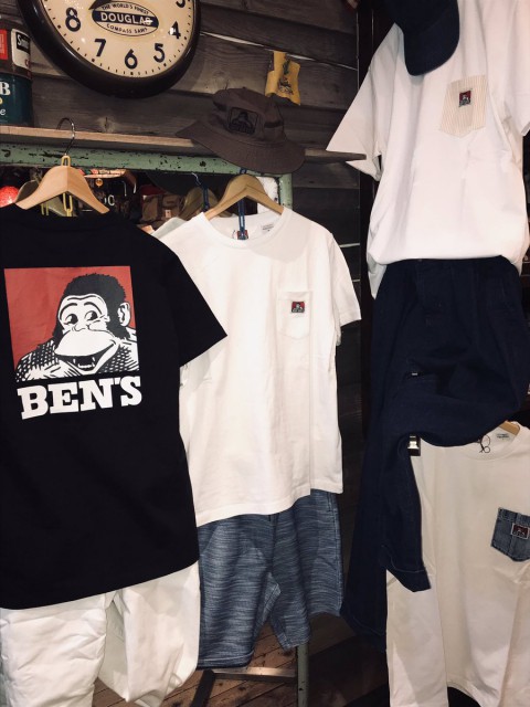 ゴリラが入荷!