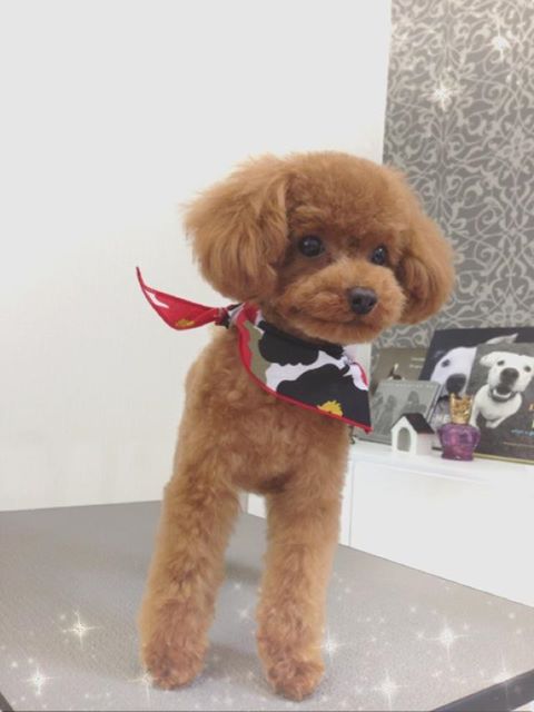 メンズでした…(ー_ー)!!