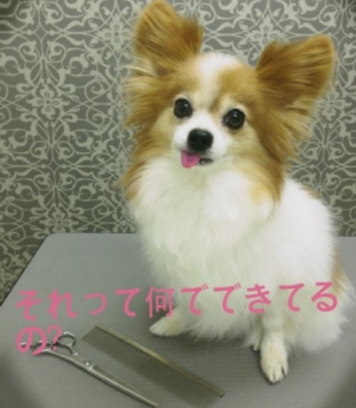 自分で選ぶ事の大切さ