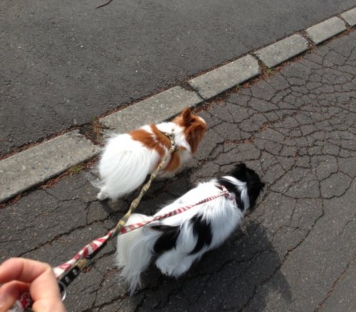 いいお天気ですね～(^_^)