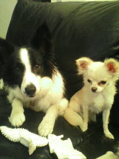 紹介割引やってます(^o^)