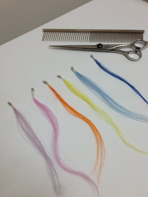 カラーサンプルありまーす!(^^)!