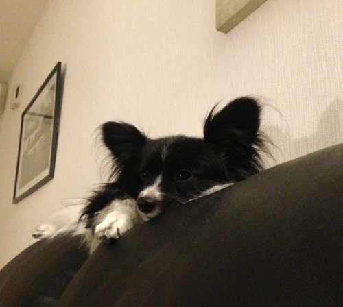 オウチでリラックス～