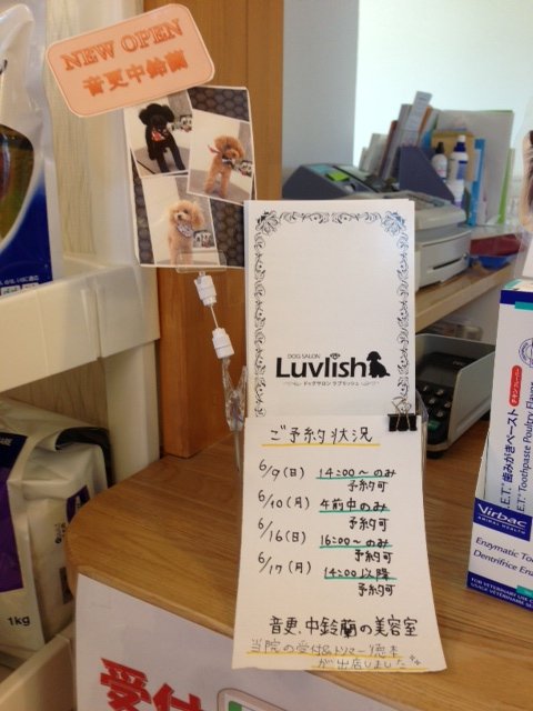 ユニさんにもパンフレットありまーす!(^^)!