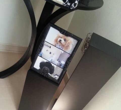 飾ってくれてる~!