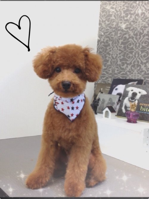 お客様ご紹介!(^^)!