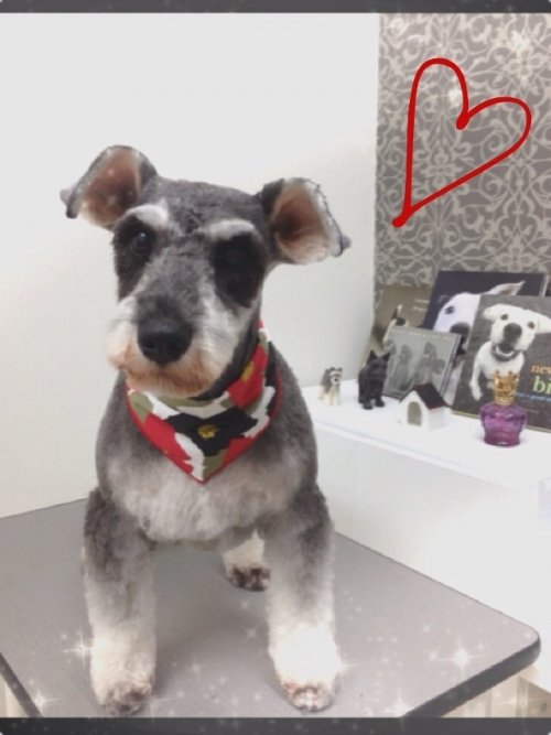 お客様ご紹介(^^)