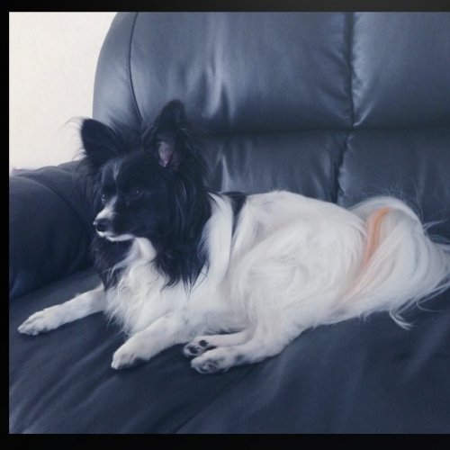 オレンジもオススメ！