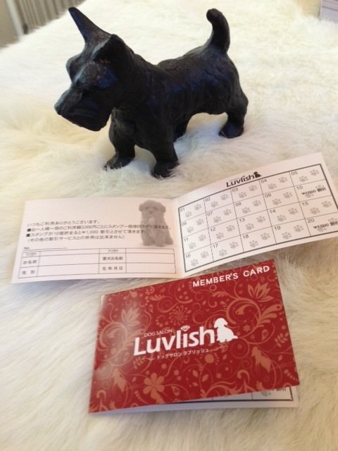 ポイントカード到着しました